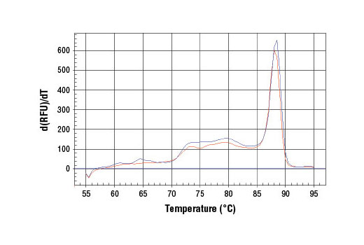 SimpleChIP Human HES4 Promoter Primers 500 µl