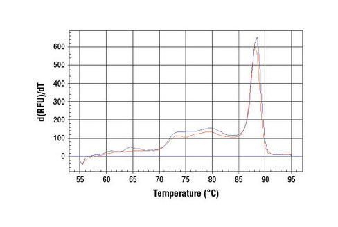 SimpleChIP Human HES4 Promoter Primers 500 µl