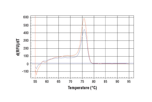 SimpleChIP Human c-Myc Intron 1 Primers 500 µl