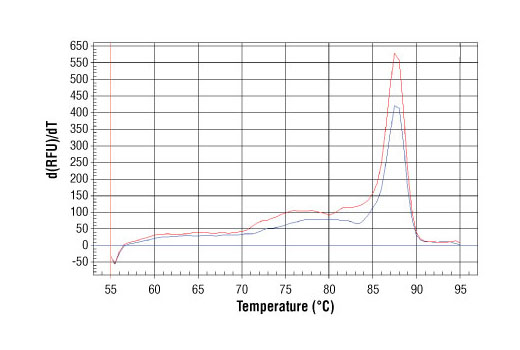 SimpleChIP Human gamma-Actin Promoter Primers 500 µl