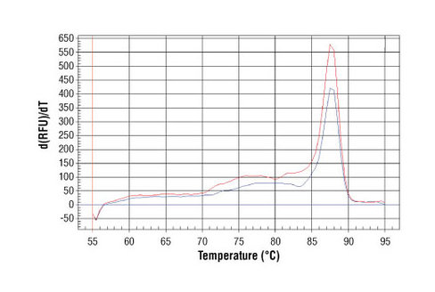 SimpleChIP Human gamma-Actin Promoter Primers 500 µl