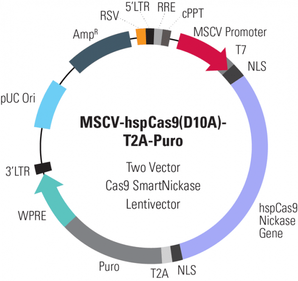Cas9 Nickase: MSCV-hspCas9(D10A)-T2A-Puro SmartNickase Pre-Packaged Lentiviral Particles [ sup à10^6 IFUs] (CRISPR)