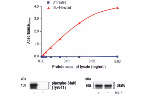 FastScan Phospho-Stat6 (Tyr641) ELISA Kit 1 kit