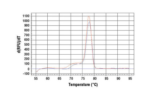 SimpleChIP Human Tyrosinase Promoter Primers 500 µl