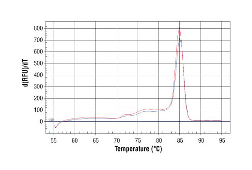 SimpleChIP Human Oct-4 Promoter Primers 500 µl