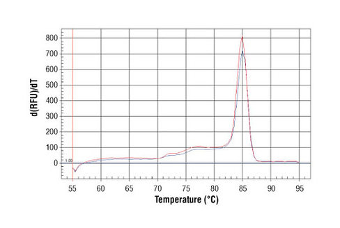 SimpleChIP Human Oct-4 Promoter Primers 500 µl