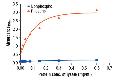 PathScan Phospho-Mer (panTyr) Sandwich ELISA Kit 1 kit