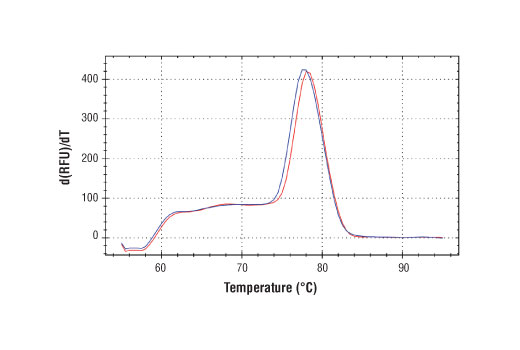SimpleChIP Human Nanog Promoter Primers 500 µl