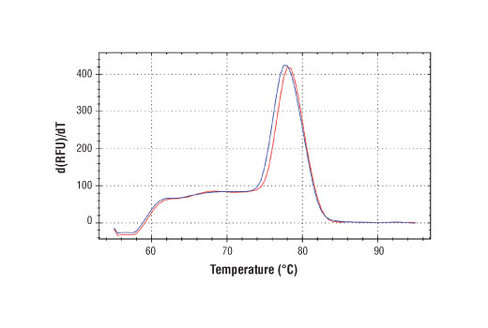 SimpleChIP Human Nanog Promoter Primers 500 µl