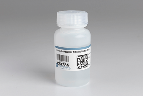 Immunofluorescence Antibody Dilution Buffer 100 mL