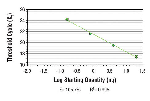SimpleChIP Human RNU2-1 Promoter Primers 500 µl