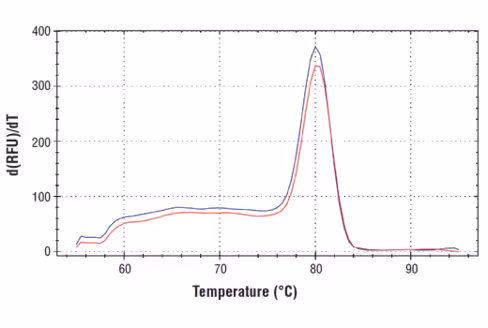 SimpleChIP Human ZNF335 Promoter Primers 500 µl