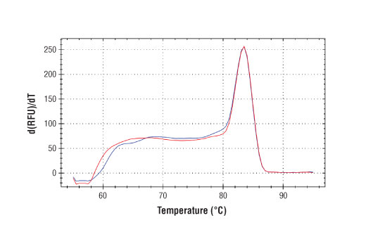SimpleChIP Human NFE2L2 Intron 1Primers 500 µl
