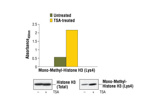 PathScan Mono-Methyl-Histone H3 (Lys4) Sandwich ELISA Kit 1 kit