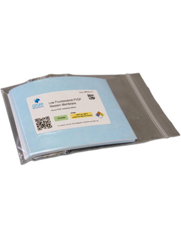 Low Fluorescence Western Membrane (PVDF)/ Pre-cut LF PVDF membrane (13x18 cm vertical gels) 10 sheet(s)