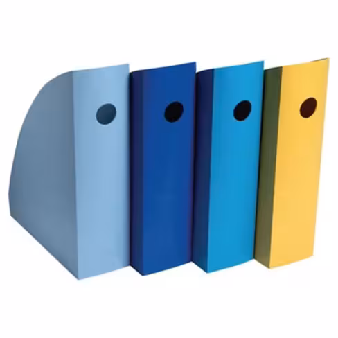 Porte revues Beeblue dos 8,2cm assortis lot de 4