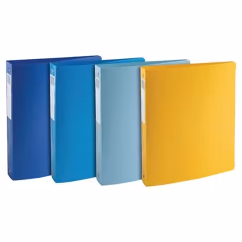 Classeur 4 anneaux Exacompta Beeblue dos 4cm assortis lot de 4