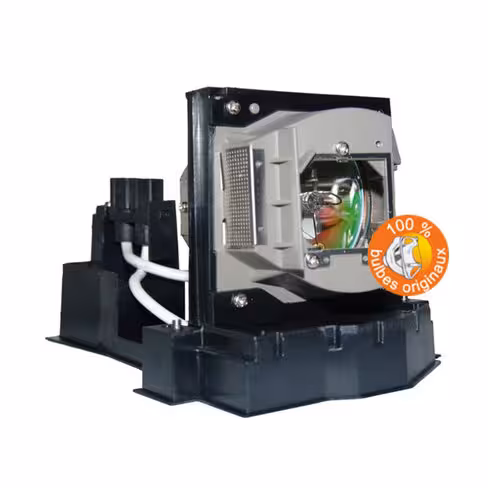 Lampe vidéoprojecteur Acer - Original Inside - OI-EC.J5200.001