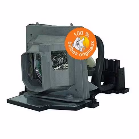 Lampe vidéoprojecteur Acer - Original Inside - OI-EC.J6700.001