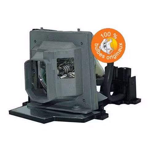 Lampe vidéoprojecteur Acer - Original Inside - OI-EC.JCQ00.001