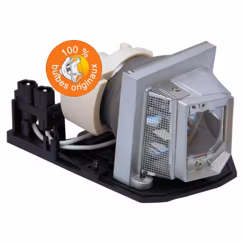 Lampe vidéoprojecteur Acer - Original Inside - OI-EC.K0100.001