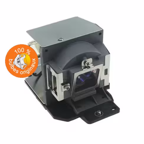 Lampe vidéoprojecteur Acer - Original Inside - OI-EC.K1400.001