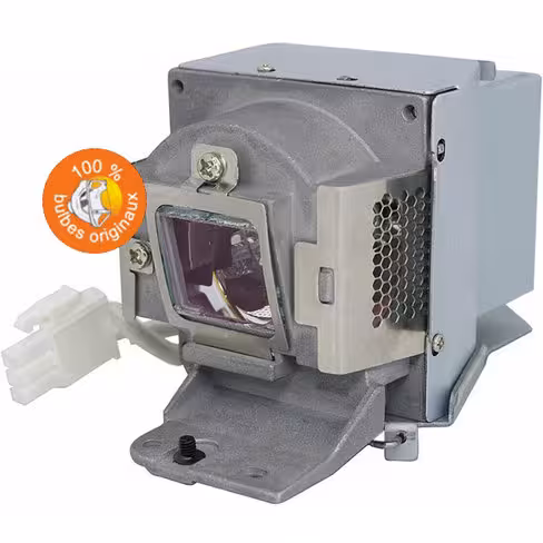 Lampe vidéoprojecteur Acer - Original Inside - OI-EC.K3000.001