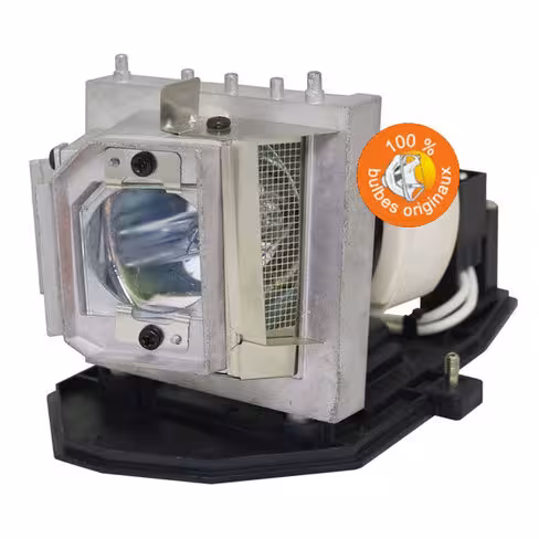 Lampe vidéoprojecteur Acer - Original Inside - OI-MC.JF711.001