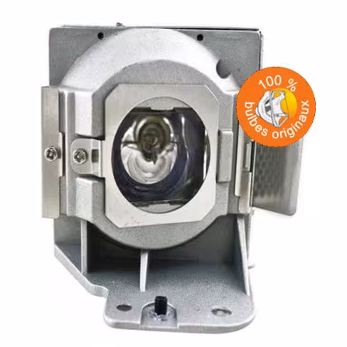 Lampe vidéoprojecteur Acer - Original Inside - OI-MC.JFZ11.001