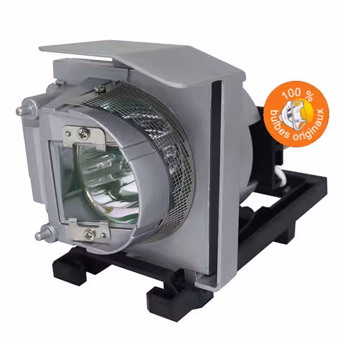 Lampe vidéoprojecteur Acer - Original Inside - OI-MC.JG111.004