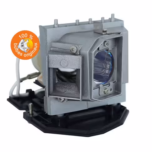 Lampe vidéoprojecteur Acer - Original Inside - OI-MC.JG511.001