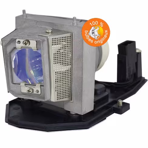 Lampe vidéoprojecteur Acer - Original Inside - OI-MC.JG811.005