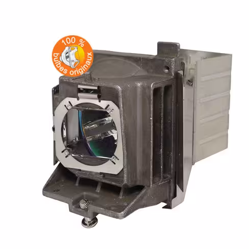 Lampe vidéoprojecteur Acer - Original Inside - OI-MC.JL511.001
