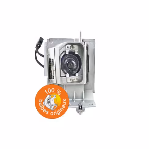 Lampe vidéoprojecteur Acer - Original Inside - OI-MC.JLC11.001