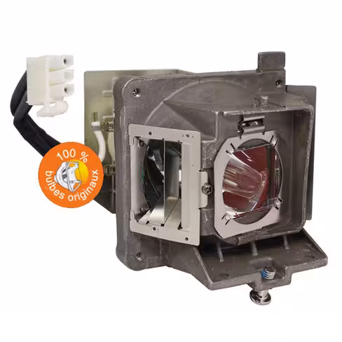 Lampe vidéoprojecteur Acer - Original Inside - OI-MC.JQ211.005