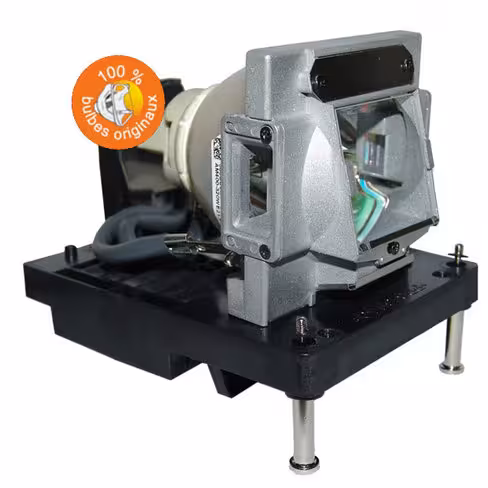 Lampe vidéoprojecteur Barco - Original Inside - OI-R9801343