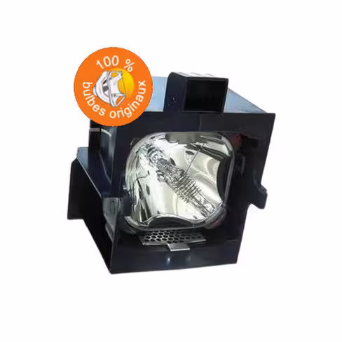Lampe vidéoprojecteur Barco - Original Inside - OI-R9841822