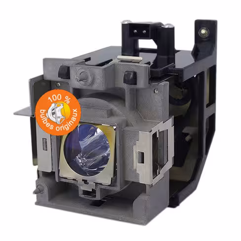 Lampe vidéoprojecteur BenQ - Original Inside - OI-5J.J2805.001