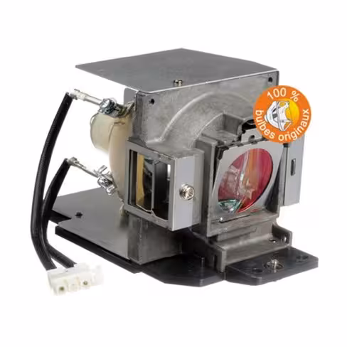 Lampe vidéoprojecteur BenQ - Original Inside - OI-5J.J3T05.001
