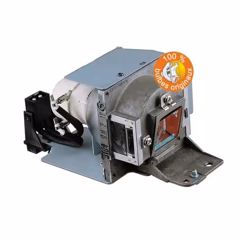 Lampe vidéoprojecteur BenQ - Original Inside - OI-5J.J4105.001