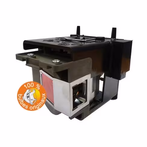 Lampe vidéoprojecteur BenQ - Original Inside - OI-5J.J4G05.001