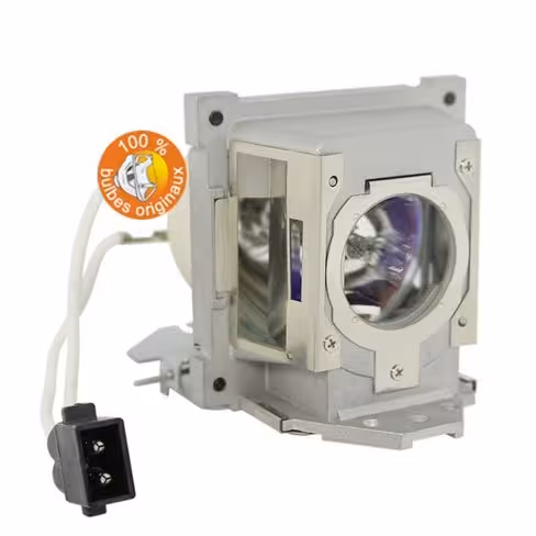 Lampe vidéoprojecteur BenQ - Original Inside - OI-5J.J4L05.021