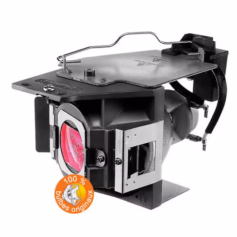 Lampe vidéoprojecteur BenQ - Original Inside - OI-5J.J6P05.001