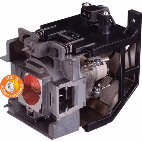 Lampe vidéoprojecteur BenQ - Original Inside - OI-5J.J8W05.001