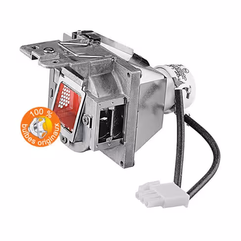 Lampe vidéoprojecteur BenQ - Original Inside - OI-5J.JC205.001