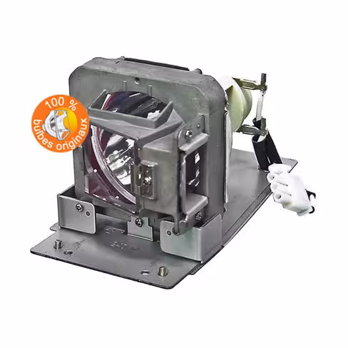 Lampe vidéoprojecteur BenQ - Original Inside - OI-5J.JE905.001