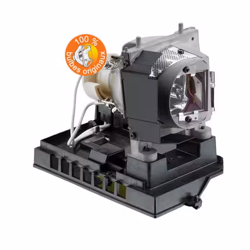 Lampe vidéoprojecteur Dell - Original Inside - OI-725-10263