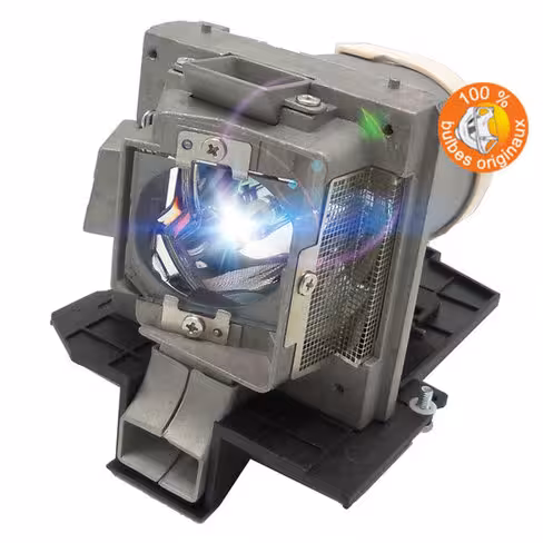 Lampe vidéoprojecteur Dell - Original Inside - OI-725-10323