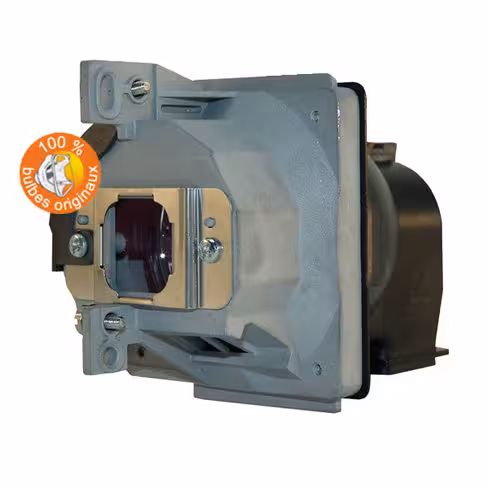 Lampe vidéoprojecteur InFocus - Original Inside - OI-SP-LAMP-025