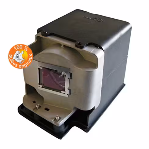 Lampe vidéoprojecteur InFocus - Original Inside - OI-SP-LAMP-058